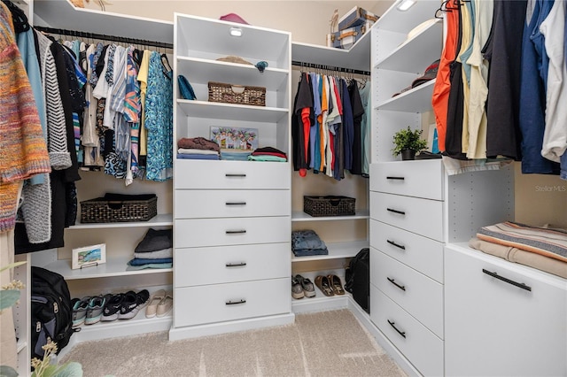 spacious closet featuring light colored carpet