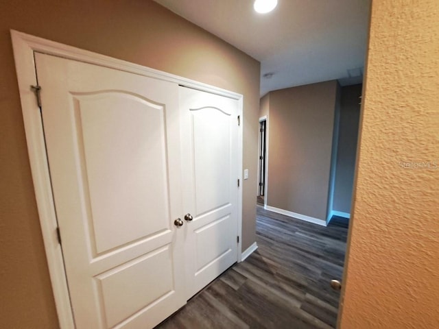 hallway with dark hardwood / wood-style flooring