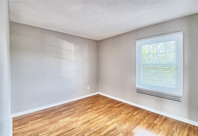 13760 Orange Sunset Dr Unit 201, Tampa, FL 33618 - spare room with a textured ceiling and light hardwood / wood-style flooring