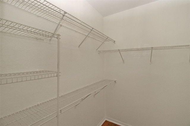 spacious closet featuring wood-type flooring