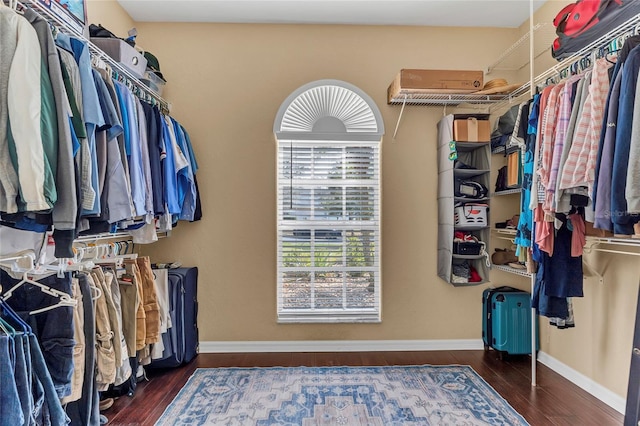 walk in closet with dark wood-type flooring