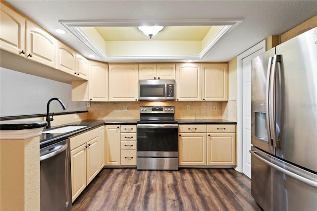 kitchen with stainless steel appliances, dark hardwood / wood-style floors, a raised ceiling, and sink