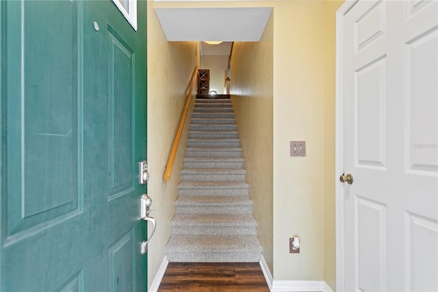 stairway with hardwood / wood-style floors