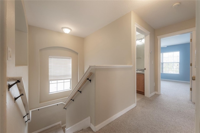 staircase featuring carpet flooring