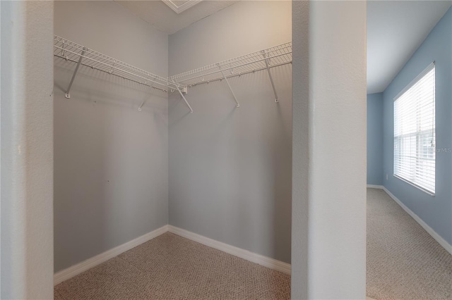 spacious closet with carpet flooring