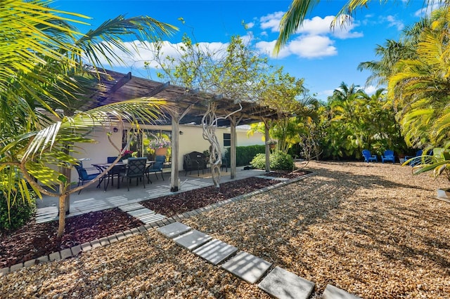 view of yard featuring a pergola and a patio area