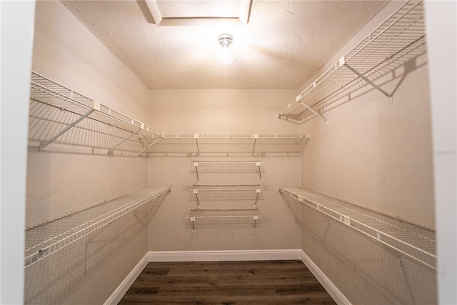 walk in closet featuring dark wood-style floors