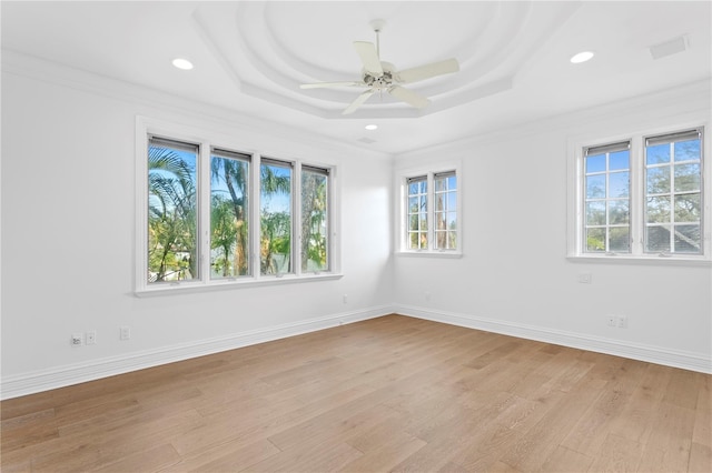 unfurnished room with plenty of natural light and a raised ceiling