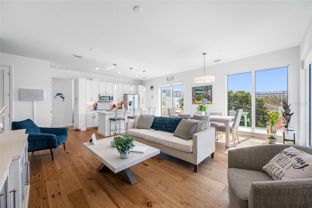 644 3rd Ave S Unit 305, Saint Petersburg, FL 33701 - living room featuring light wood finished floors