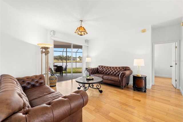 living room featuring light hardwood / wood-style flooring