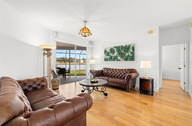 living room featuring light hardwood / wood-style floors