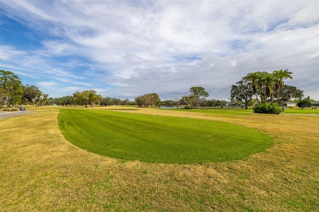 view of community with a lawn