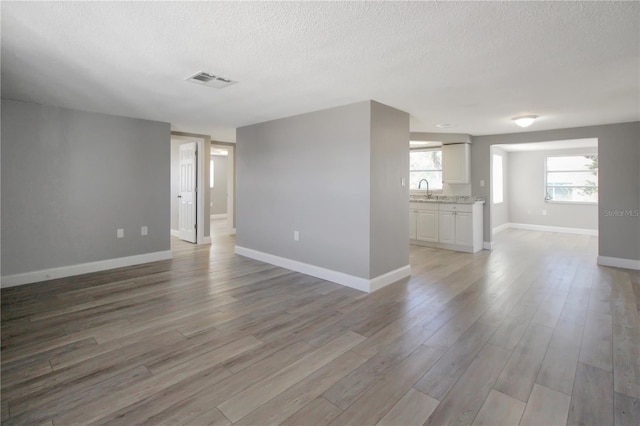 empty room featuring wood-type flooring, sink, and a textured ceiling