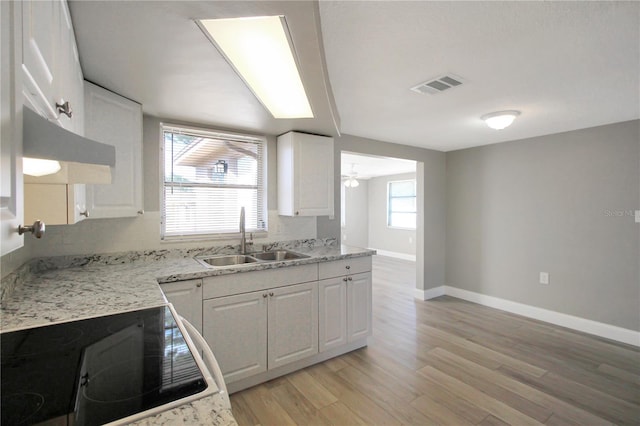 kitchen featuring light stone countertops, sink, light hardwood / wood-style flooring, and white cabinets