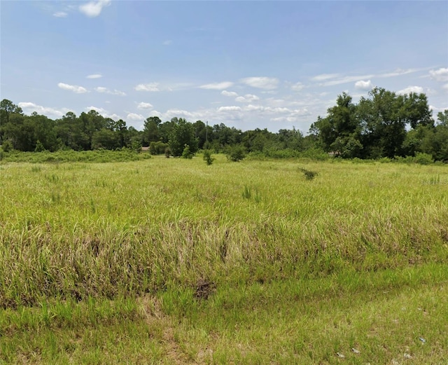 Oak Lane Loop, Ocala FL, 34472 land for sale