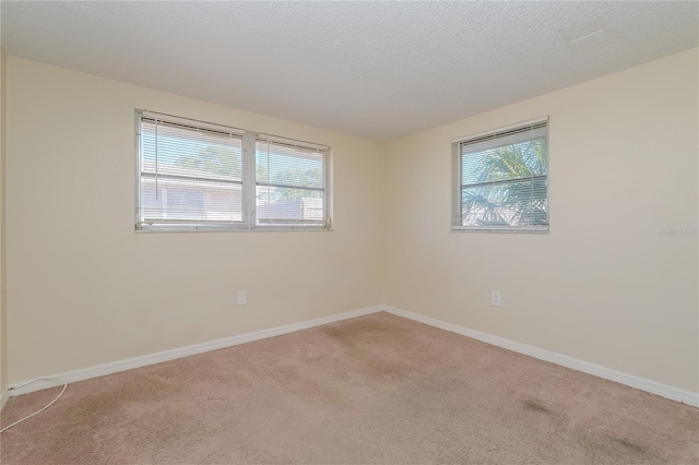 spare room with light carpet, a textured ceiling, and a healthy amount of sunlight