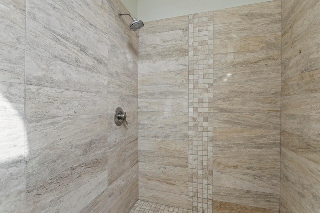 interior details with tiled shower