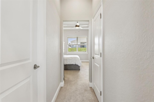 hallway with light carpet