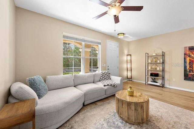 living room featuring hardwood / wood-style flooring and ceiling fan