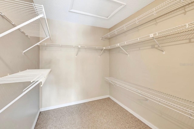 walk in closet featuring attic access and carpet floors