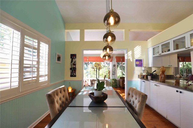 dining room with dark hardwood / wood-style floors