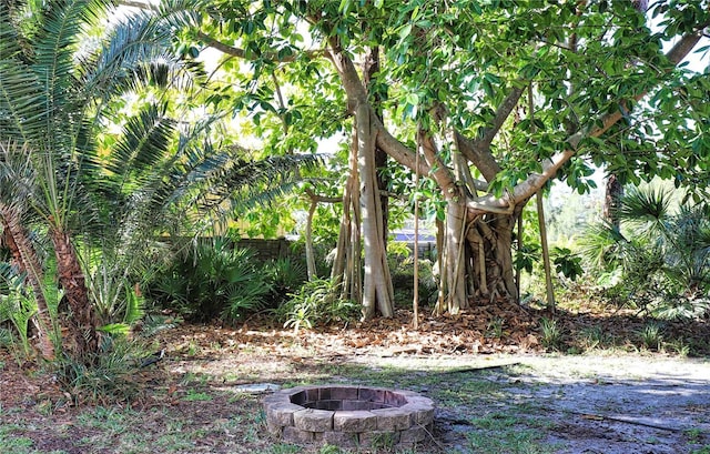 view of yard with an outdoor fire pit