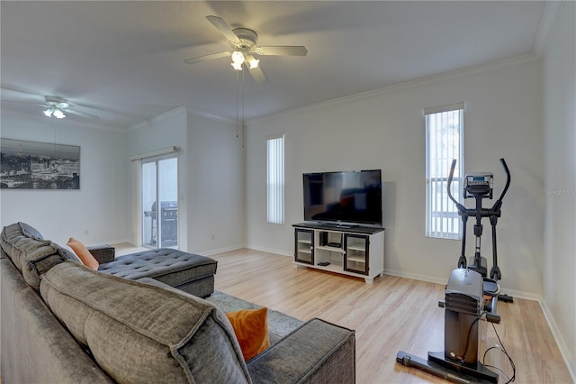 living room featuring crown molding, ceiling fan, and light wood-type flooring