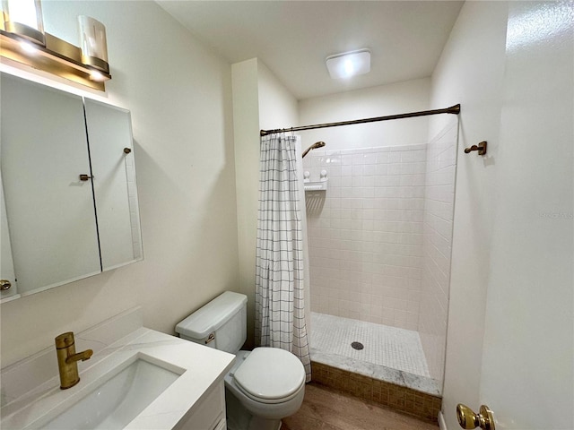 bathroom featuring vanity, toilet, a shower with shower curtain, and wood-type flooring