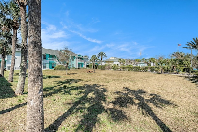 455 Alt 19 S Unit 268, Palm Harbor, FL 34683 - view of grassy yard