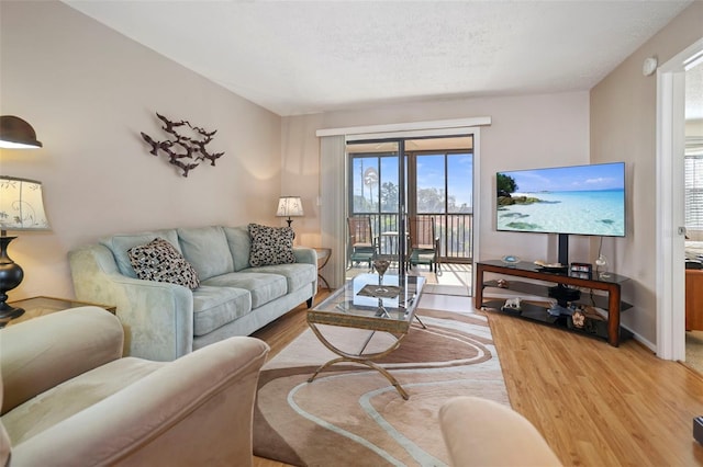 living room with hardwood / wood-style flooring and a textured ceiling