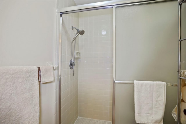 bathroom featuring a shower with door