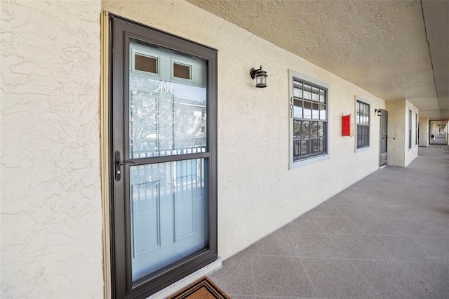 460 Paula Dr S Unit 401, Dunedin, FL 34698 - photo 29