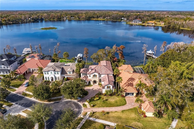 aerial view with a water view