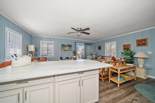 kitchen with ornamental molding, a healthy amount of sunlight, and dark hardwood / wood-style floors