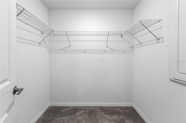 spacious closet featuring carpet flooring