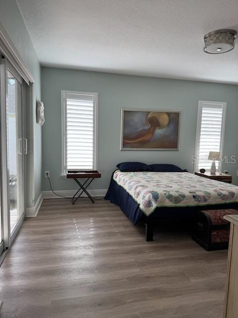 bedroom featuring multiple windows and wood-type flooring