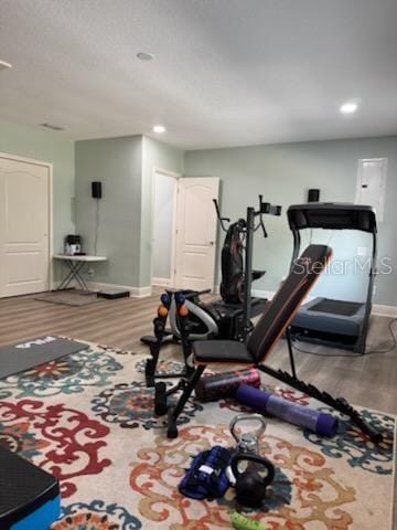 exercise room featuring hardwood / wood-style flooring