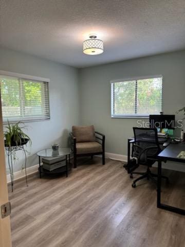 office featuring wood-type flooring