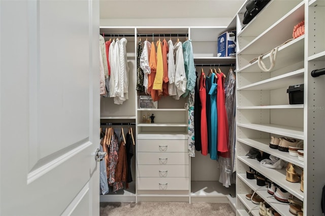 6684 Devlin Ln, Wesley Chapel, FL 33545 - walk in closet featuring carpet flooring
