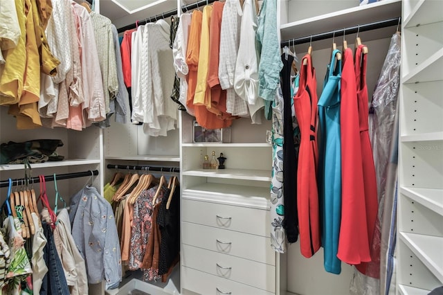 6684 Devlin Ln, Wesley Chapel, FL 33545 - view of walk in closet