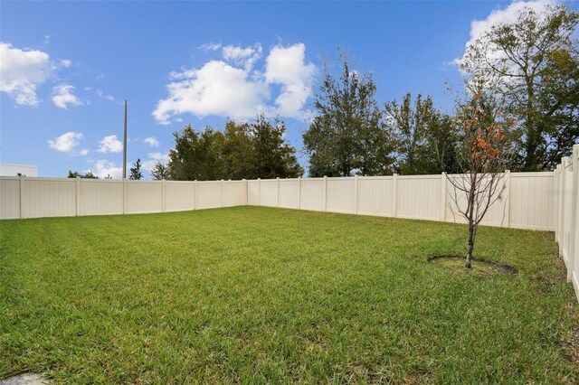 6684 Devlin Ln, Wesley Chapel, FL 33545 - view of yard featuring a fenced backyard