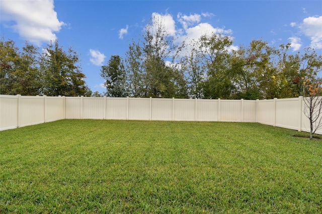 6684 Devlin Ln, Wesley Chapel, FL 33545 - view of yard featuring a fenced backyard