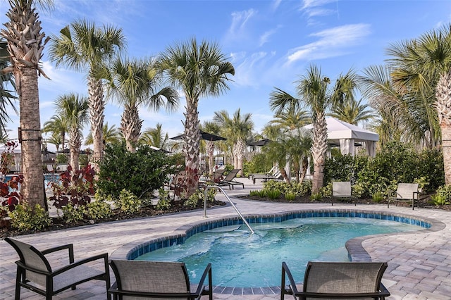 view of swimming pool featuring a patio area