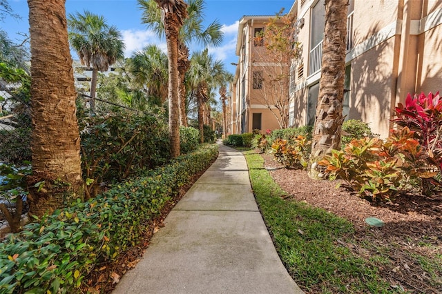 1203 Bay Club Cir Unit 1203, Tampa, FL 33607 - view of surrounding community