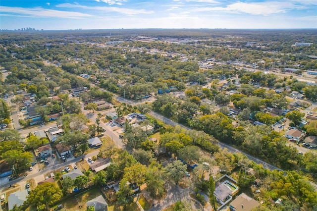 bird's eye view