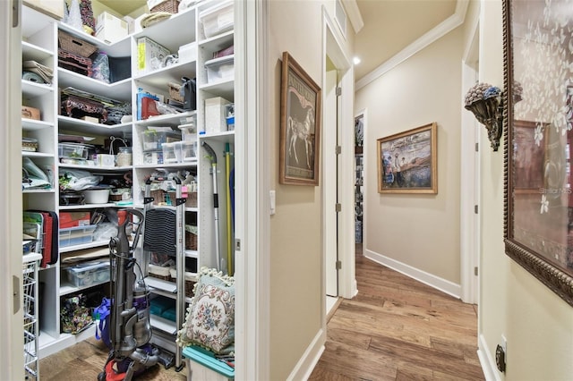 spacious closet with wood-type flooring