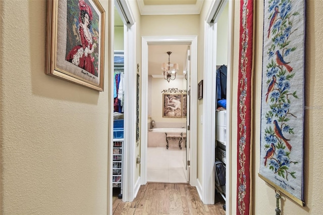 corridor with crown molding, an inviting chandelier, and light hardwood / wood-style flooring