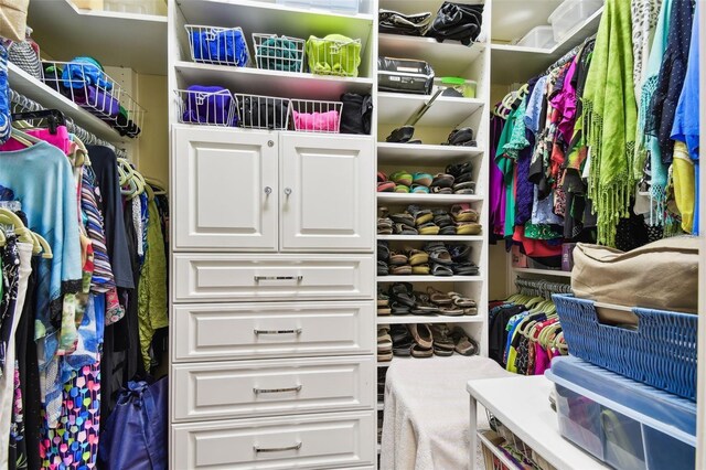 view of spacious closet