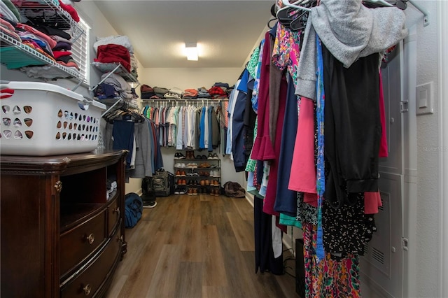 walk in closet with hardwood / wood-style flooring