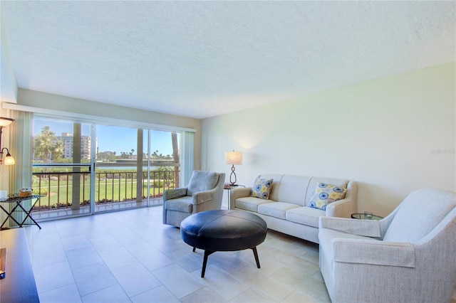 living room featuring a textured ceiling